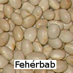 Fehérbab