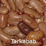 Tarkabab