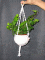 Makramé virágtartó mini cseréphez