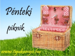Pénteki piknik